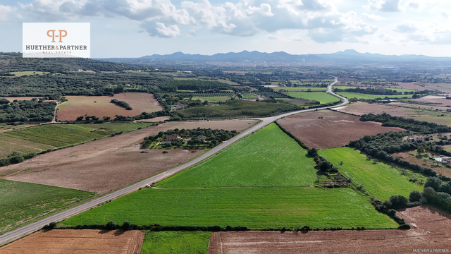 Grundstück mit gültiger Baugenehmigung für eine Finca mit Pool