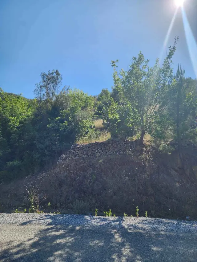 Grundstueck in Alanya Fakircali - Landwirtschaftlich, Natur